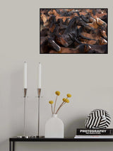 The One Poster och Canvastavla