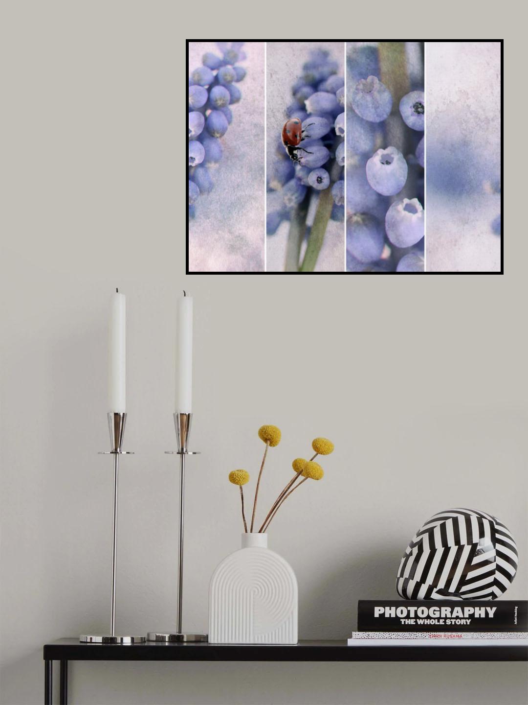 Ladybird....... Poster och Canvastavla