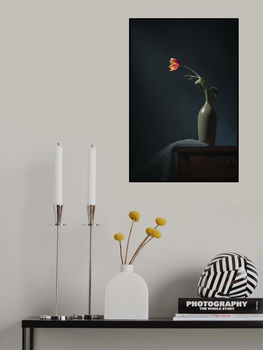 A Orange Tulip Poster och Canvastavla