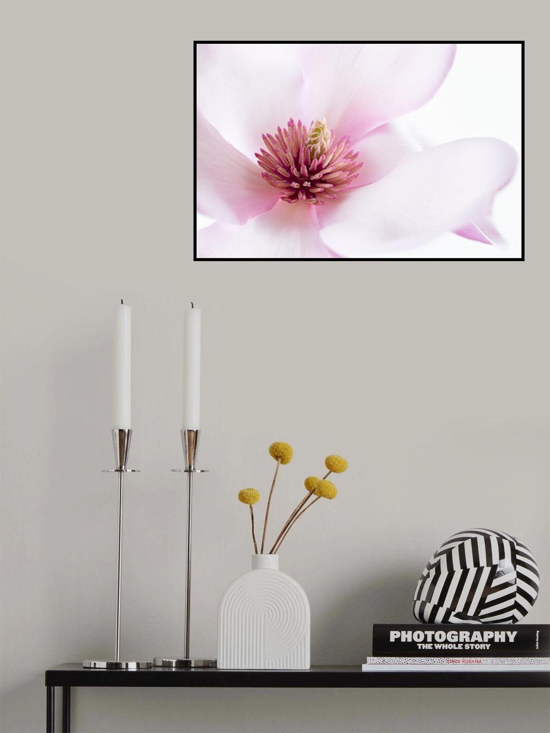 Freshness Poster och Canvastavla