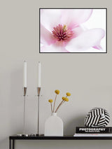 Freshness Poster och Canvastavla