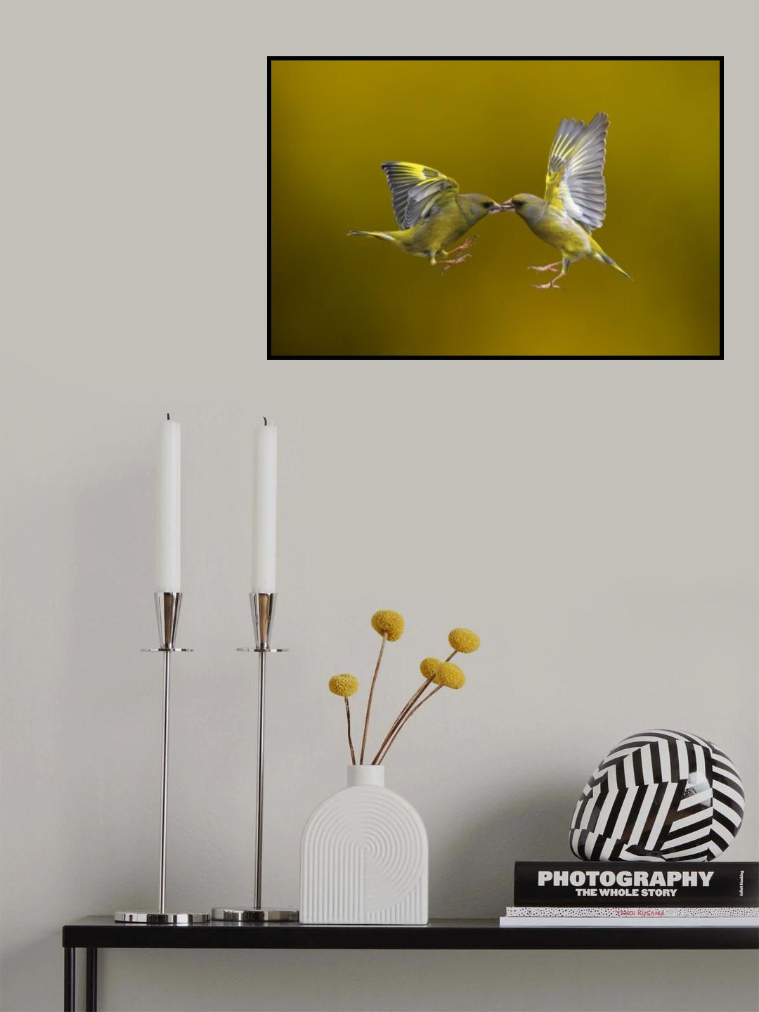Flying Kiss Poster och Canvastavla
