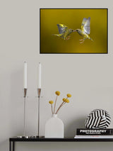 Flying Kiss Poster och Canvastavla