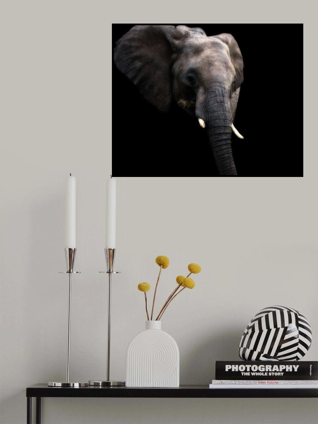 Elephant eating snacks Poster och Canvastavla