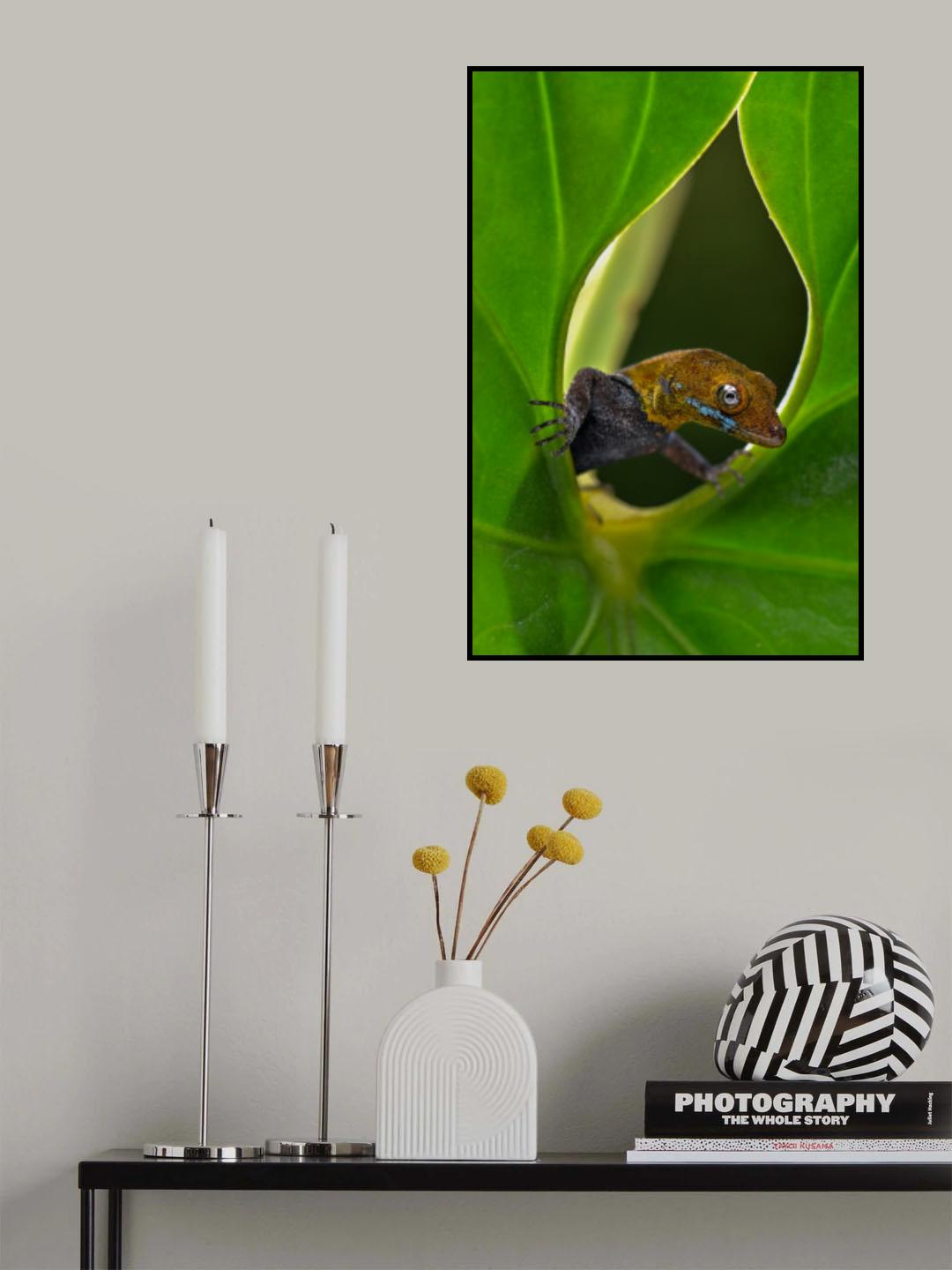 Gecko Poster och Canvastavla