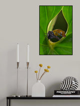 Gecko Poster och Canvastavla