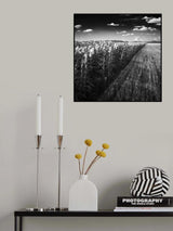 Poster och Canvastavla