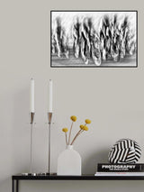 Photo-finish Poster och Canvastavla