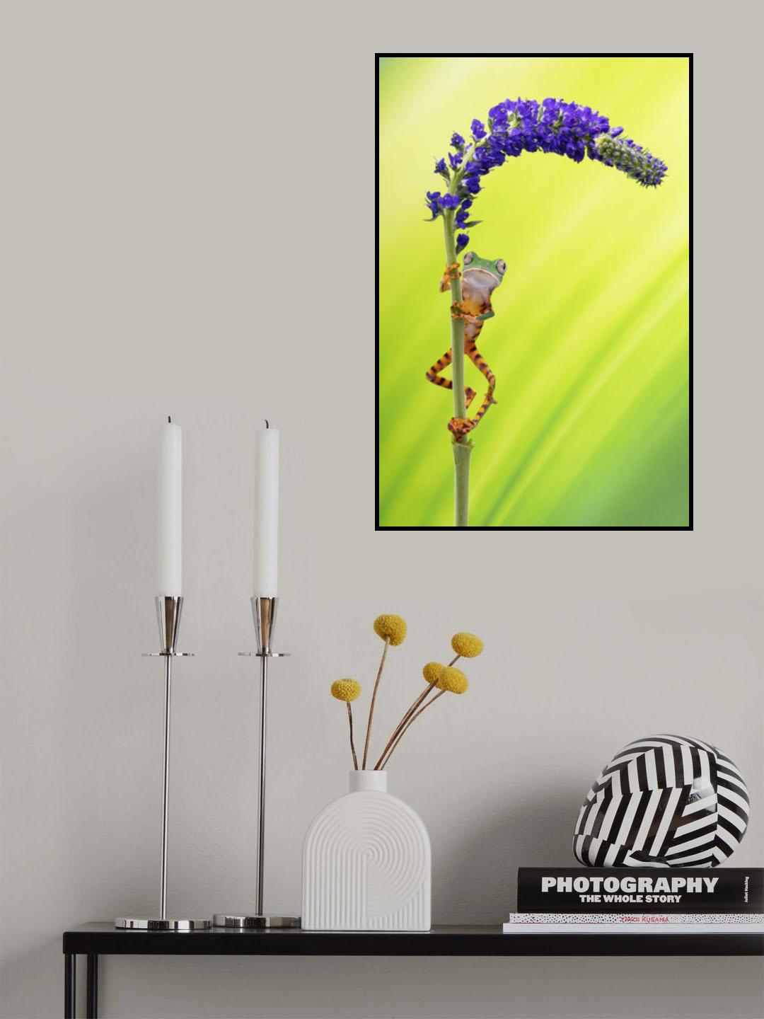 Up We Go Poster och Canvastavla