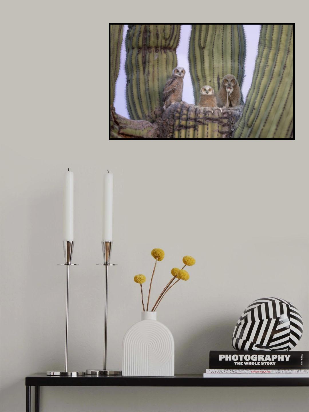 Great Horned Owl Poster och Canvastavla