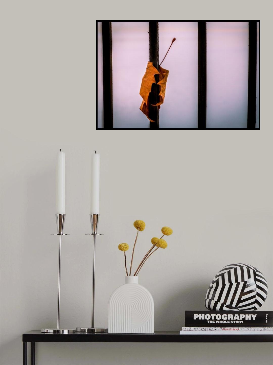Don't let go Poster och Canvastavla