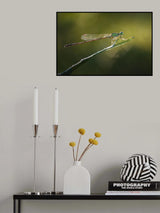 Glorious Poster och Canvastavla