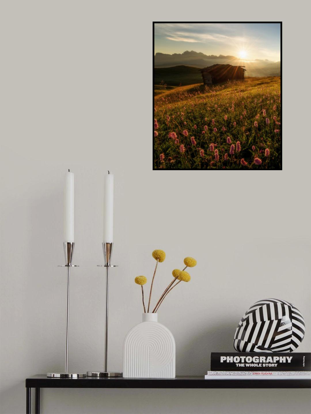 Flowers in the Dolomites Poster och Canvastavla