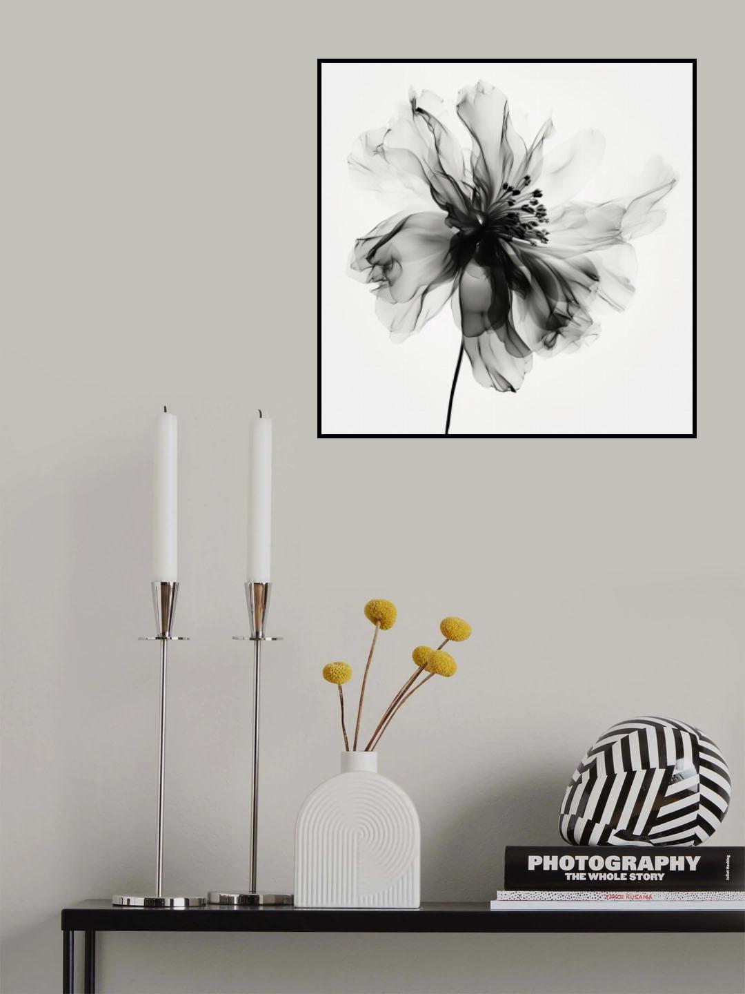 Black Flower Poster och Canvastavla