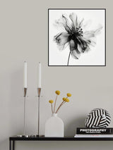 Black Flower Poster och Canvastavla