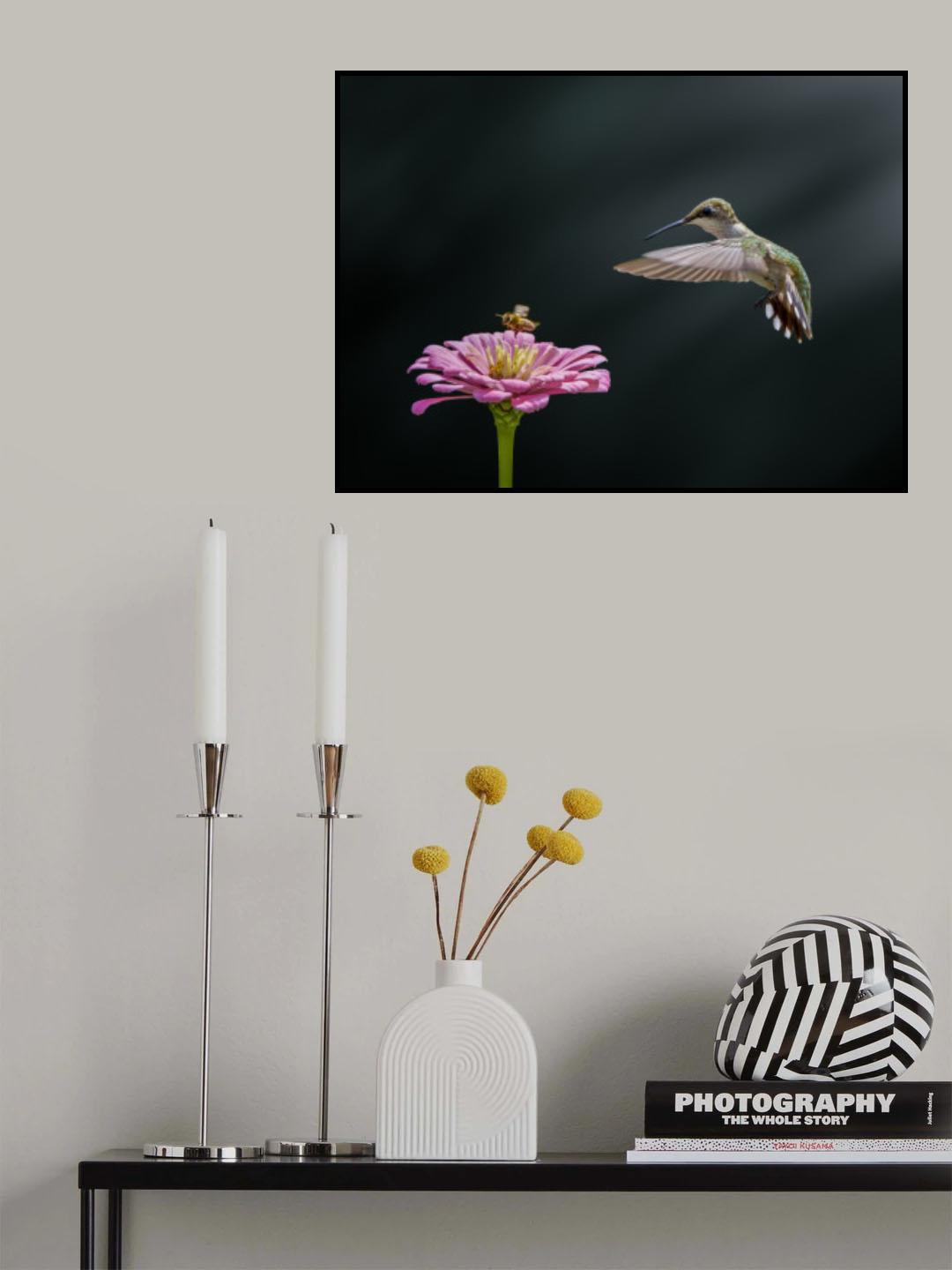 Hummingbird, bee, and flower (II) Poster och Canvastavla