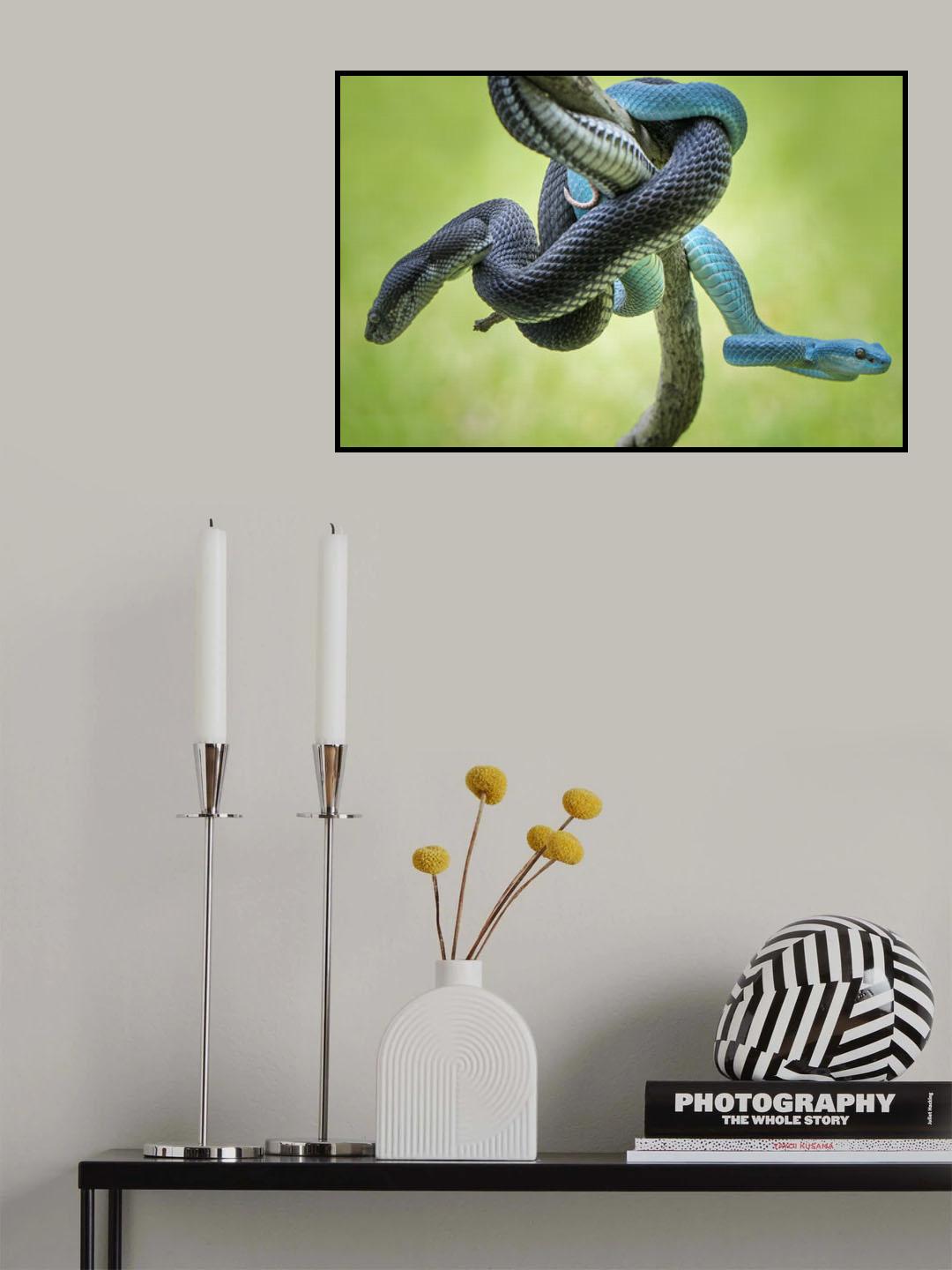 Black and Blue Poster och Canvastavla