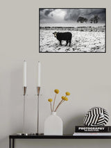 animal cruelty Poster och Canvastavla
