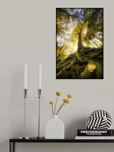 The goodbye of a leaf Poster och Canvastavla