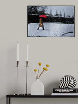 rosso7 Poster och Canvastavla