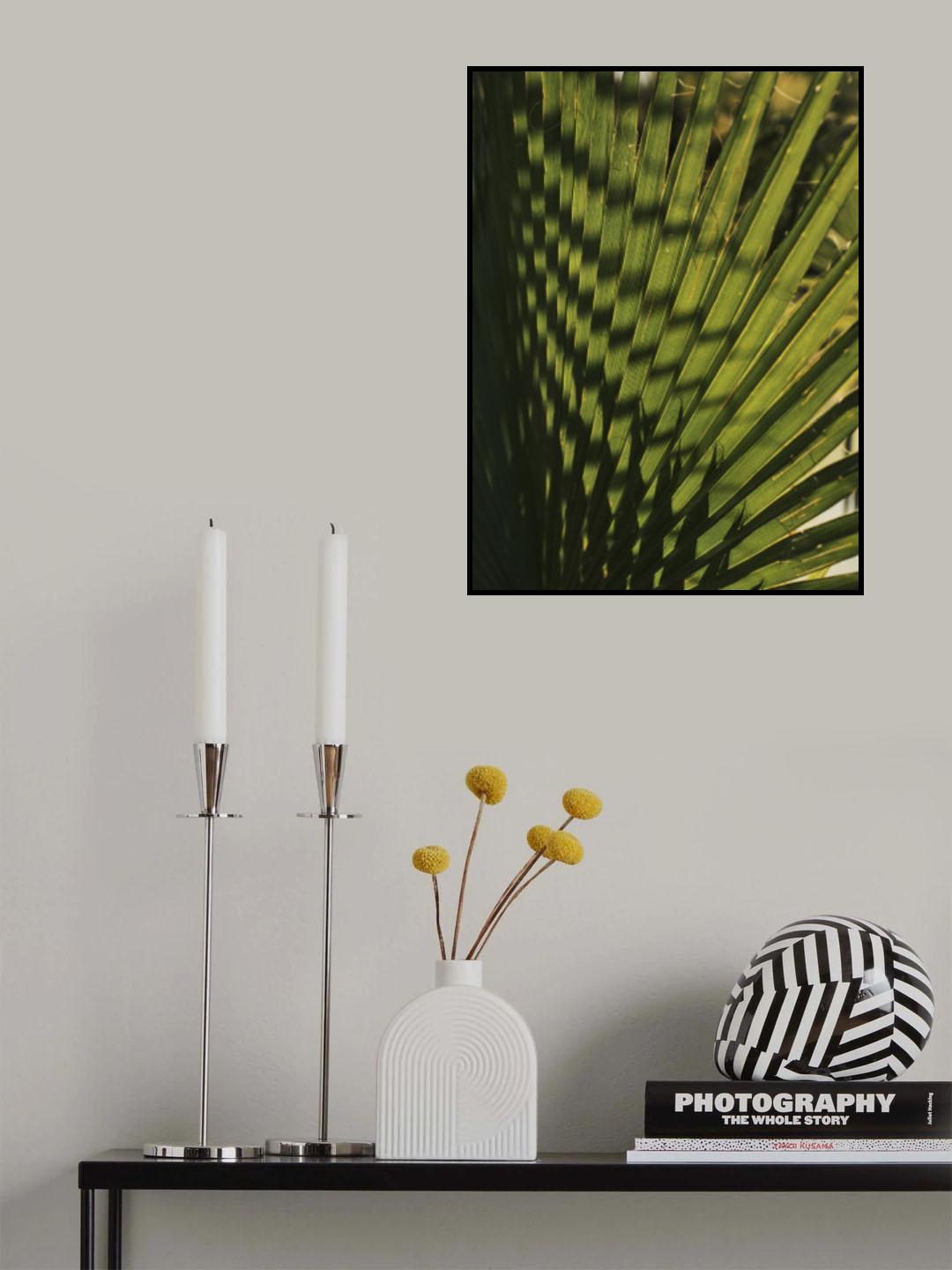 palm leaf Poster och Canvastavla