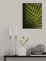 palm leaf Poster och Canvastavla