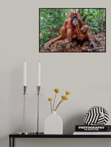 What are you eating?!?! Poster och Canvastavla