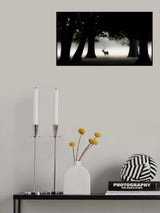 Red Deer Stag in early morning Poster och Canvastavla