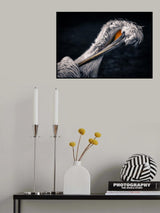 Plumage care Poster och Canvastavla