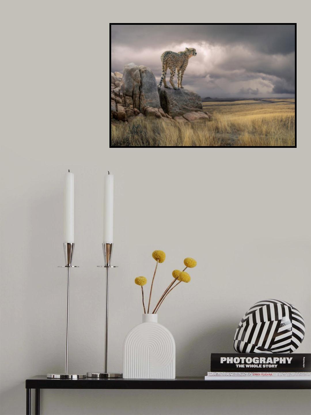 CheetahView Poster och Canvastavla