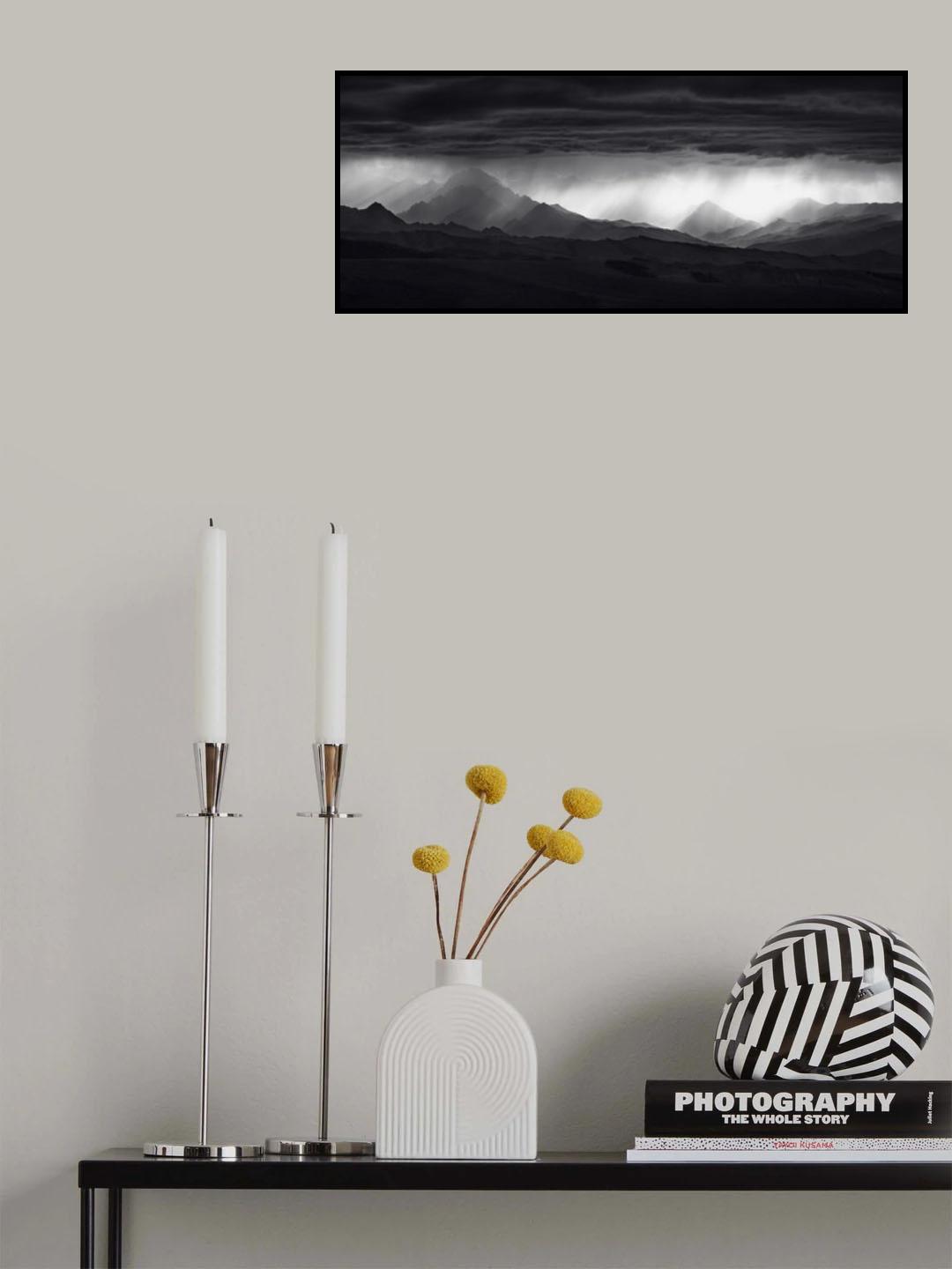 See through Poster och Canvastavla