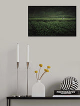 The Tea Picker Poster och Canvastavla