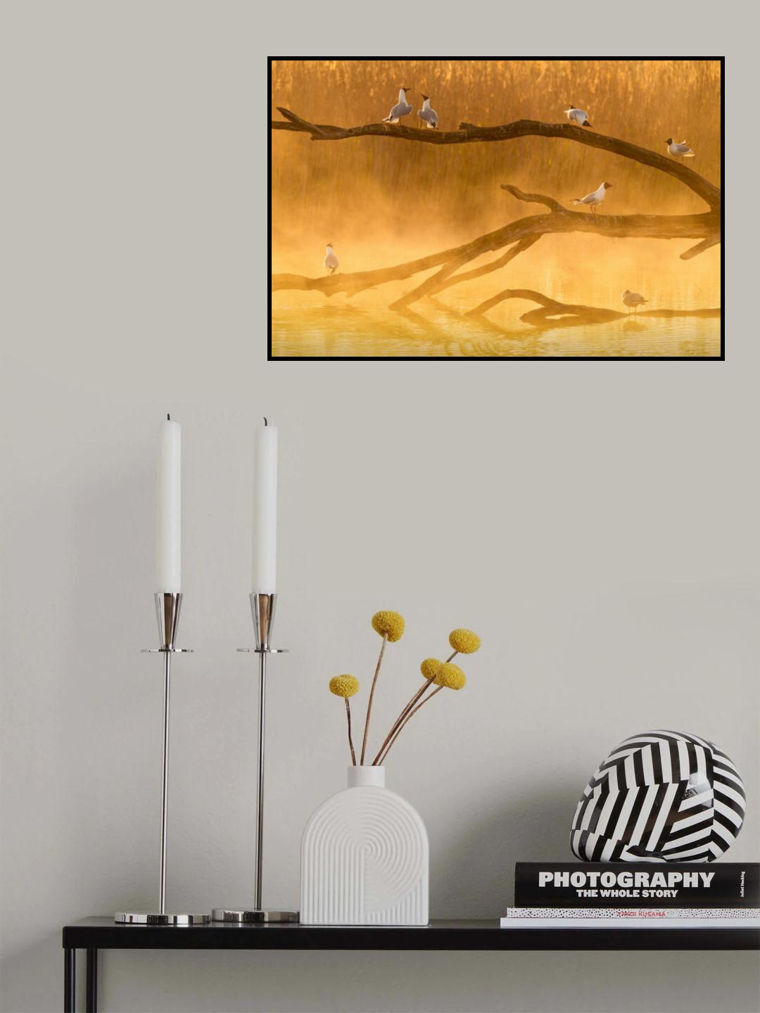 Gull chat Poster och Canvastavla