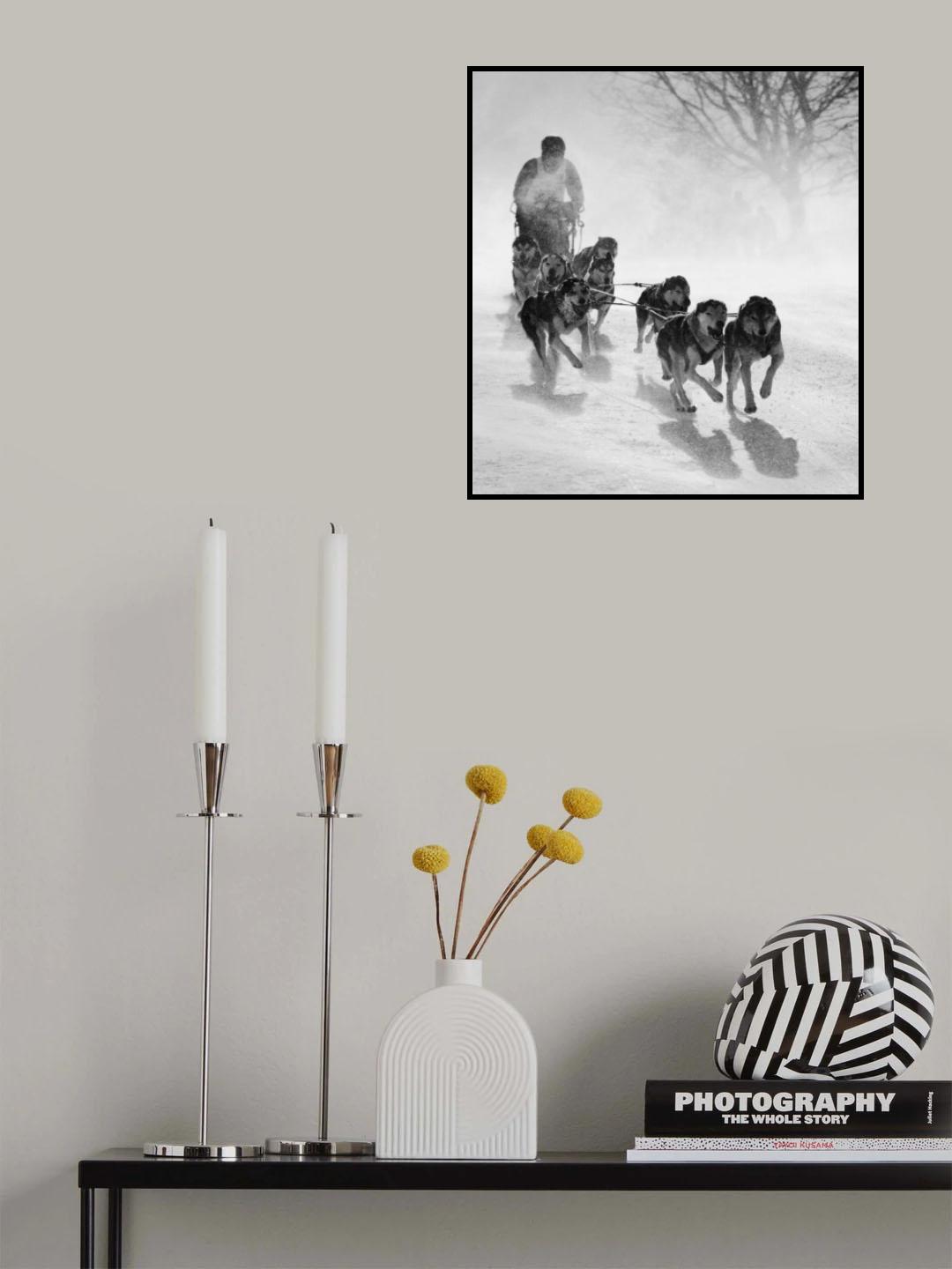 pursuit Poster och Canvastavla