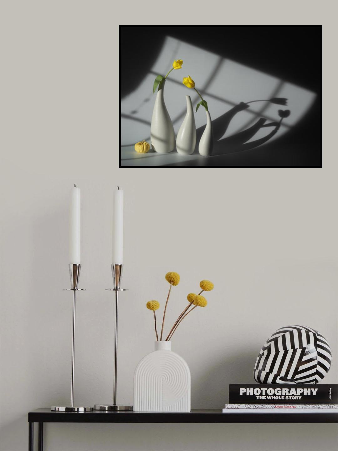 Sun and Shadow Poster och Canvastavla
