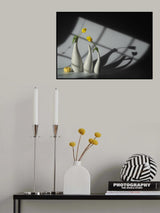 Sun and Shadow Poster och Canvastavla