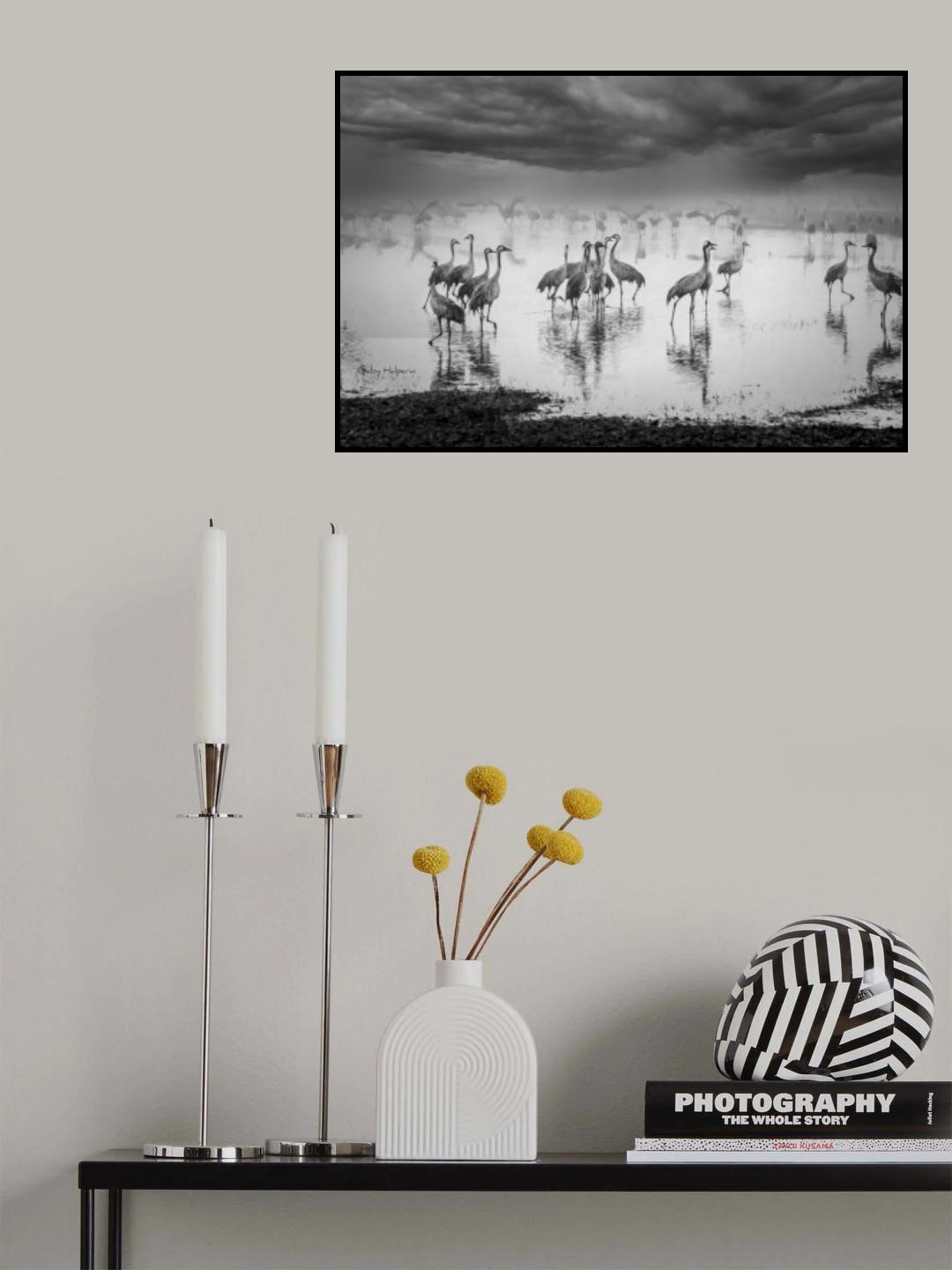 Sunrise on the lake Poster och Canvastavla