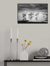 Sunrise on the lake Poster och Canvastavla