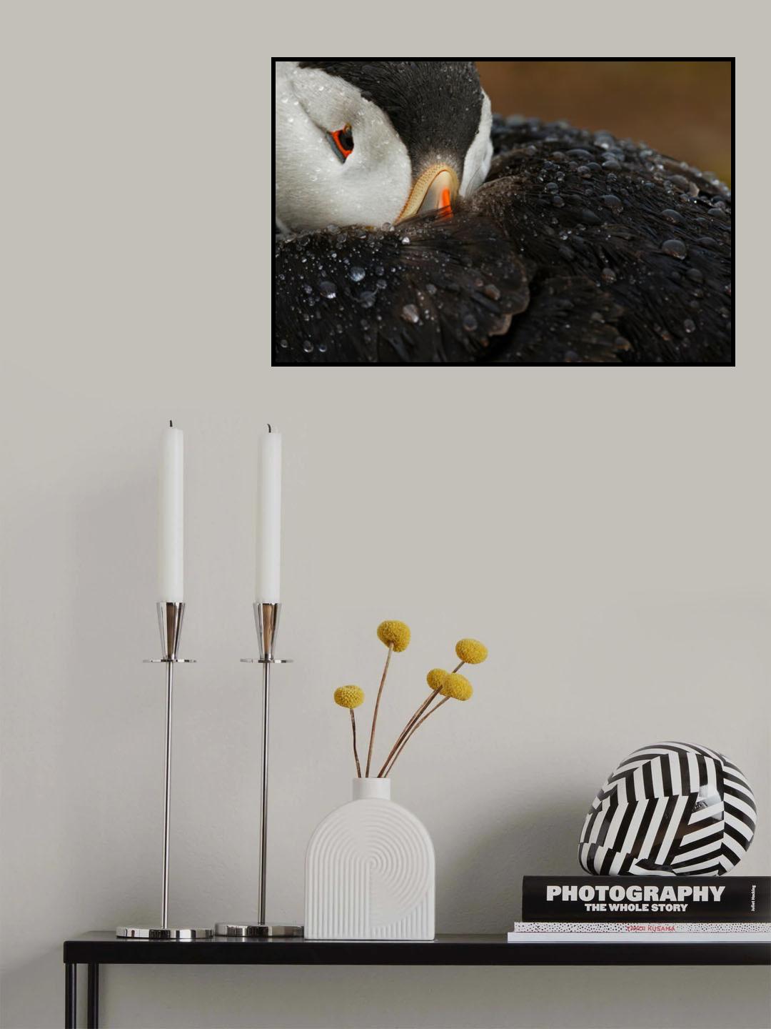 Goretex Poster och Canvastavla