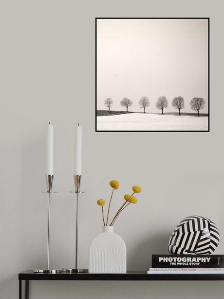 Tree Line Poster och Canvastavla