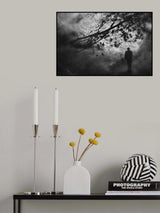 Poster och Canvastavla