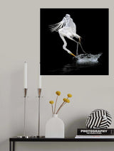 Out of Water Poster och Canvastavla