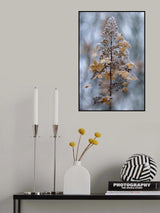 Winter Lace Poster och Canvastavla