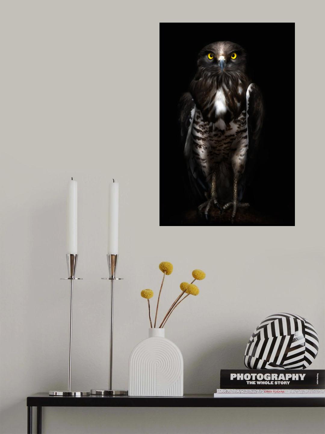 Horus Poster och Canvastavla