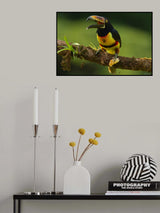 Banana lover Poster och Canvastavla