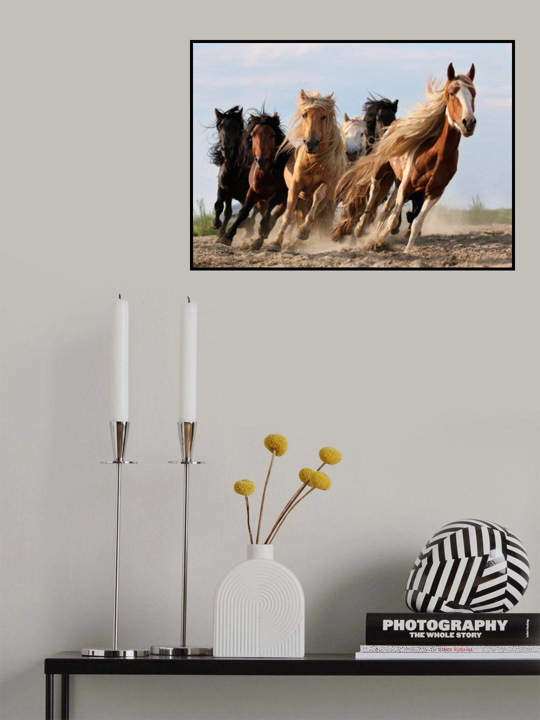 Lucky Six Poster och Canvastavla