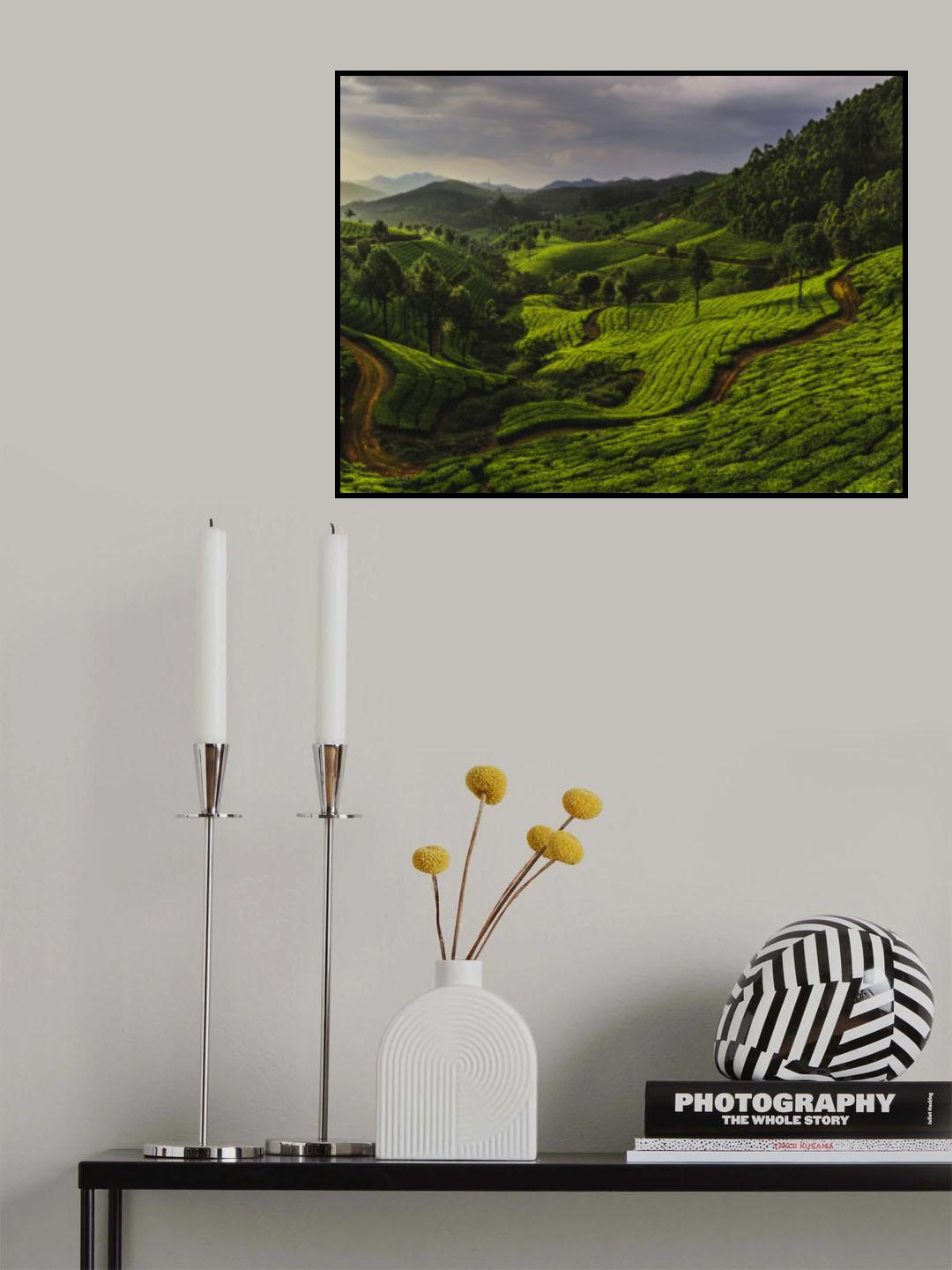 Snaking Path On Rolling Hills Poster och Canvastavla