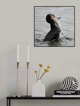 Too Big for You Poster och Canvastavla