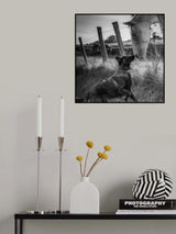 Friend's kiss ;-) Poster och Canvastavla