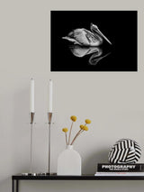 Reflection Poster och Canvastavla